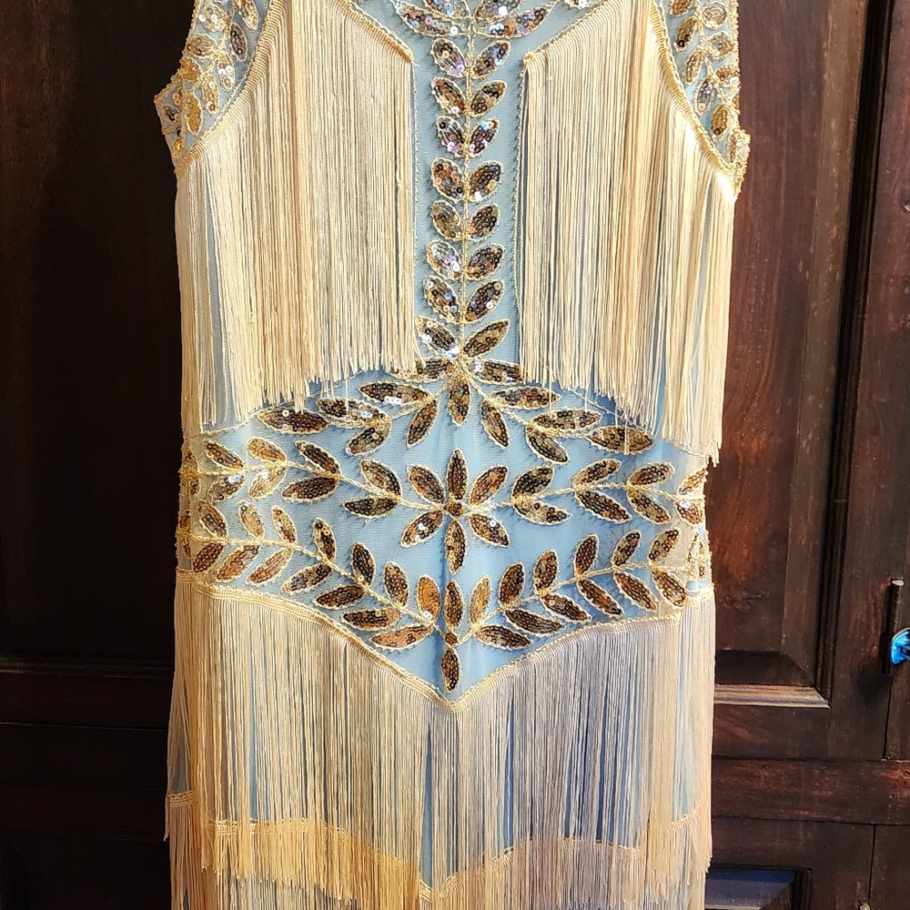 Roaring 20s Flapper Costume Dress size L. Item #3893 - Picture 8 of 8